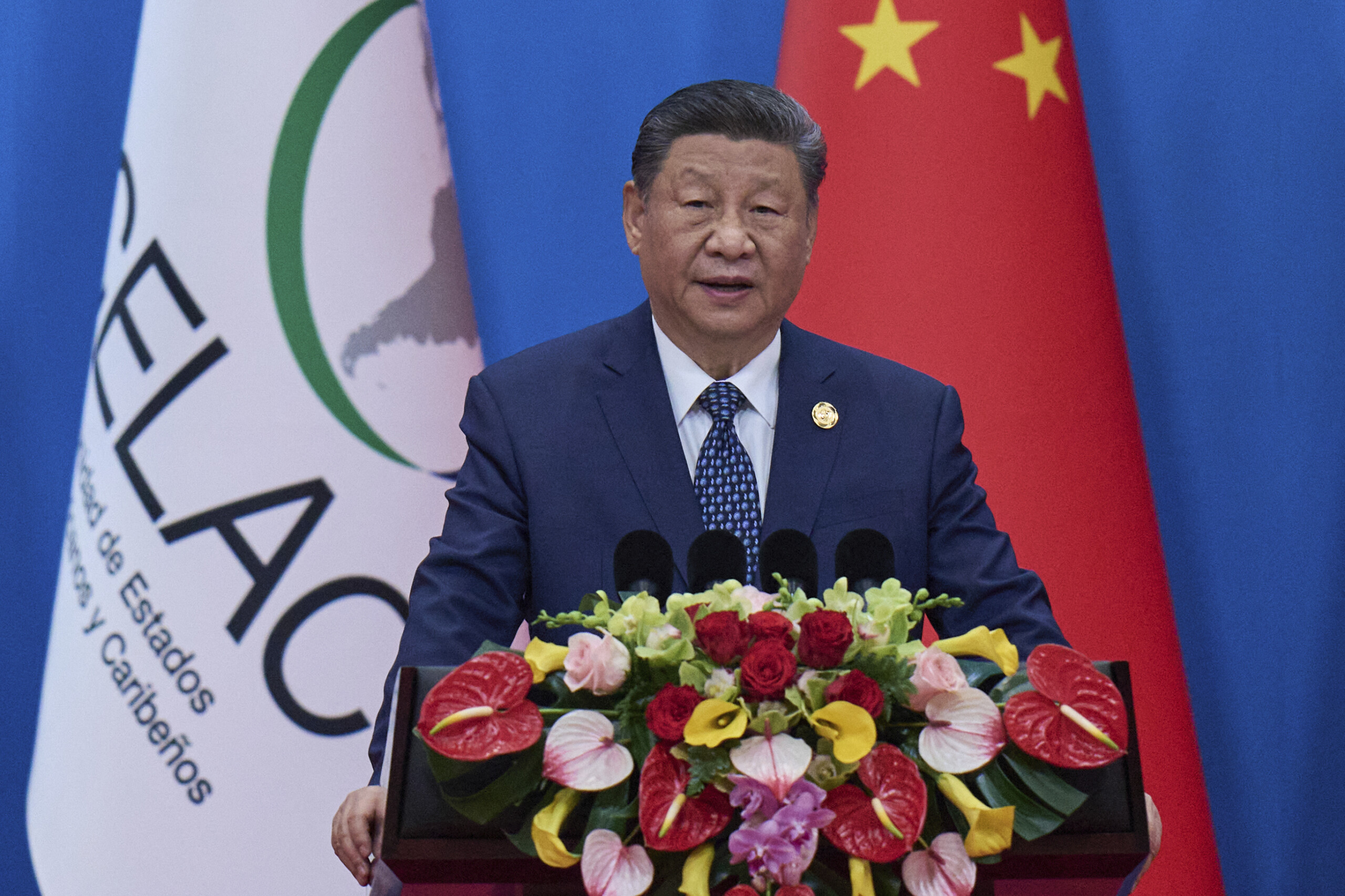 xi the world cannot be dragged into the law of the jungle scaled