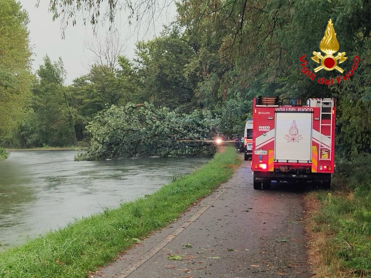 severe weather woman dies after tree falls near milan