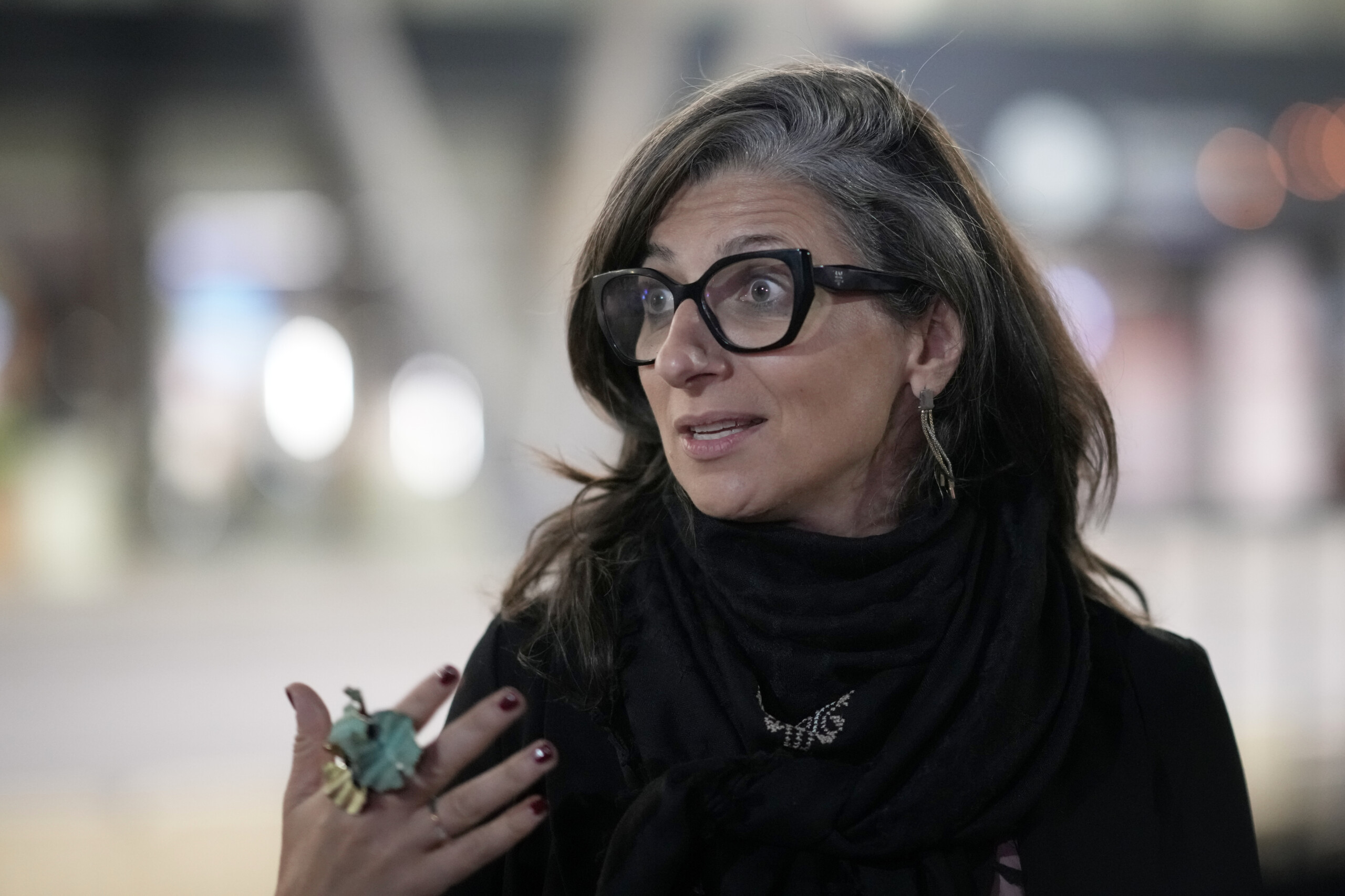 gaza letter from former presidents fico and bertinotti to tajani protect francesca albanese scaled