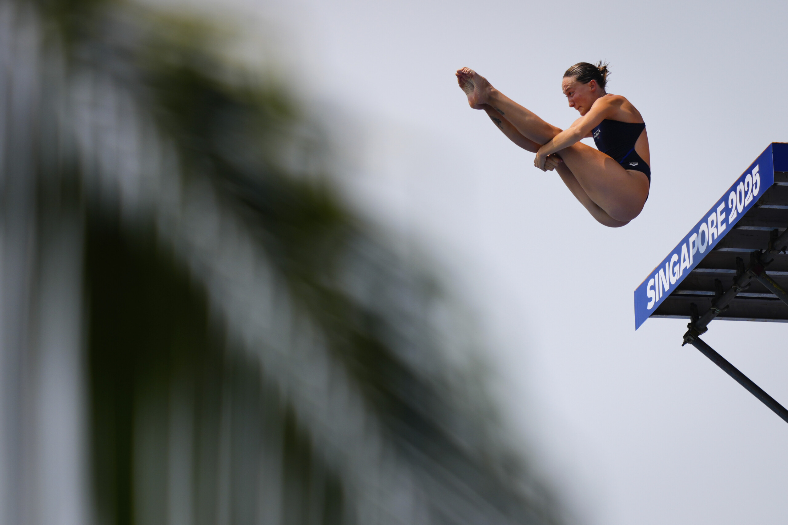 swimming world diving championships elisa cosetti reaches the final from the 20 metre platform scaled