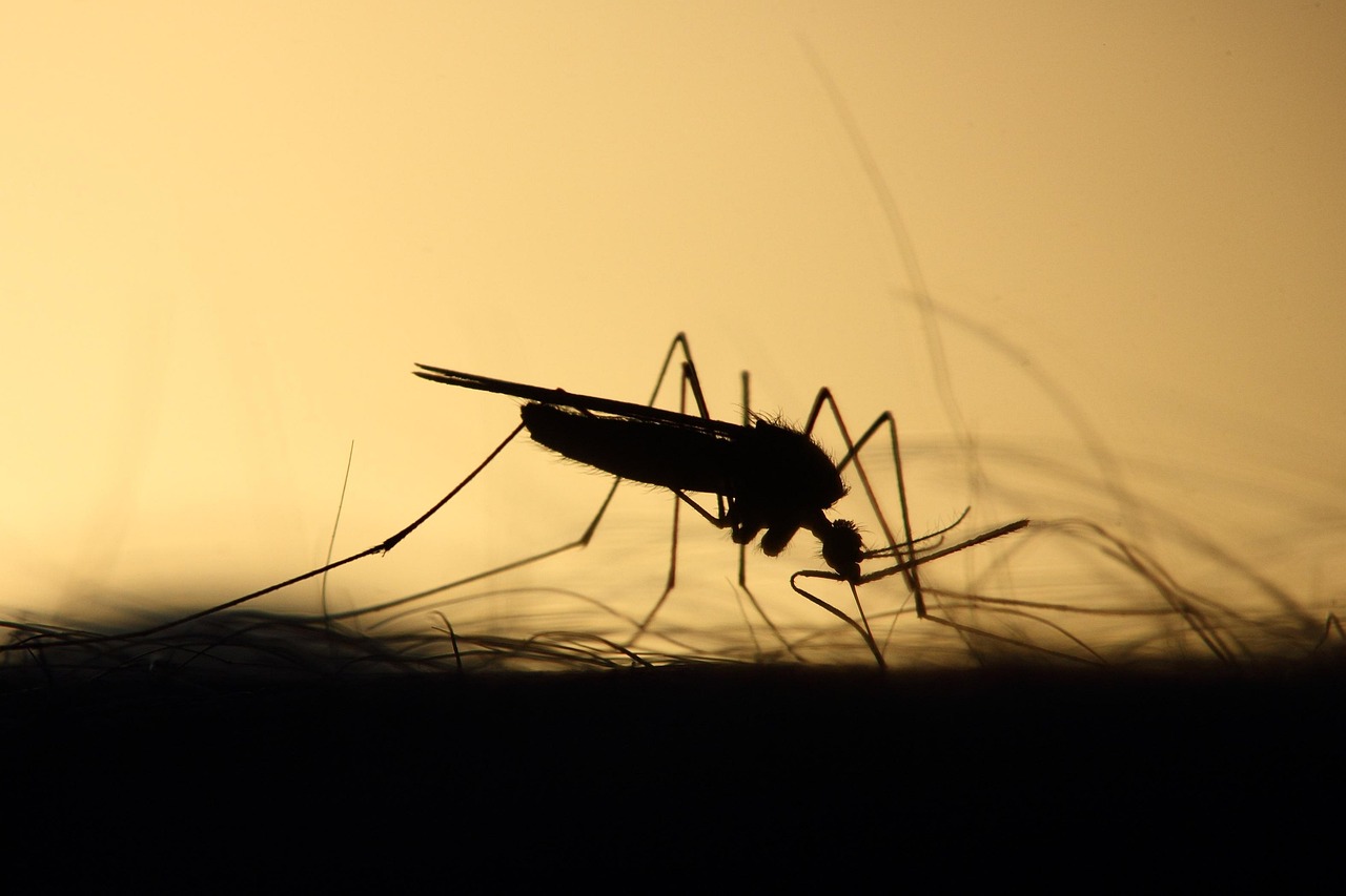 west nile virus iss confirmed cases rise to 173 with 11 deaths