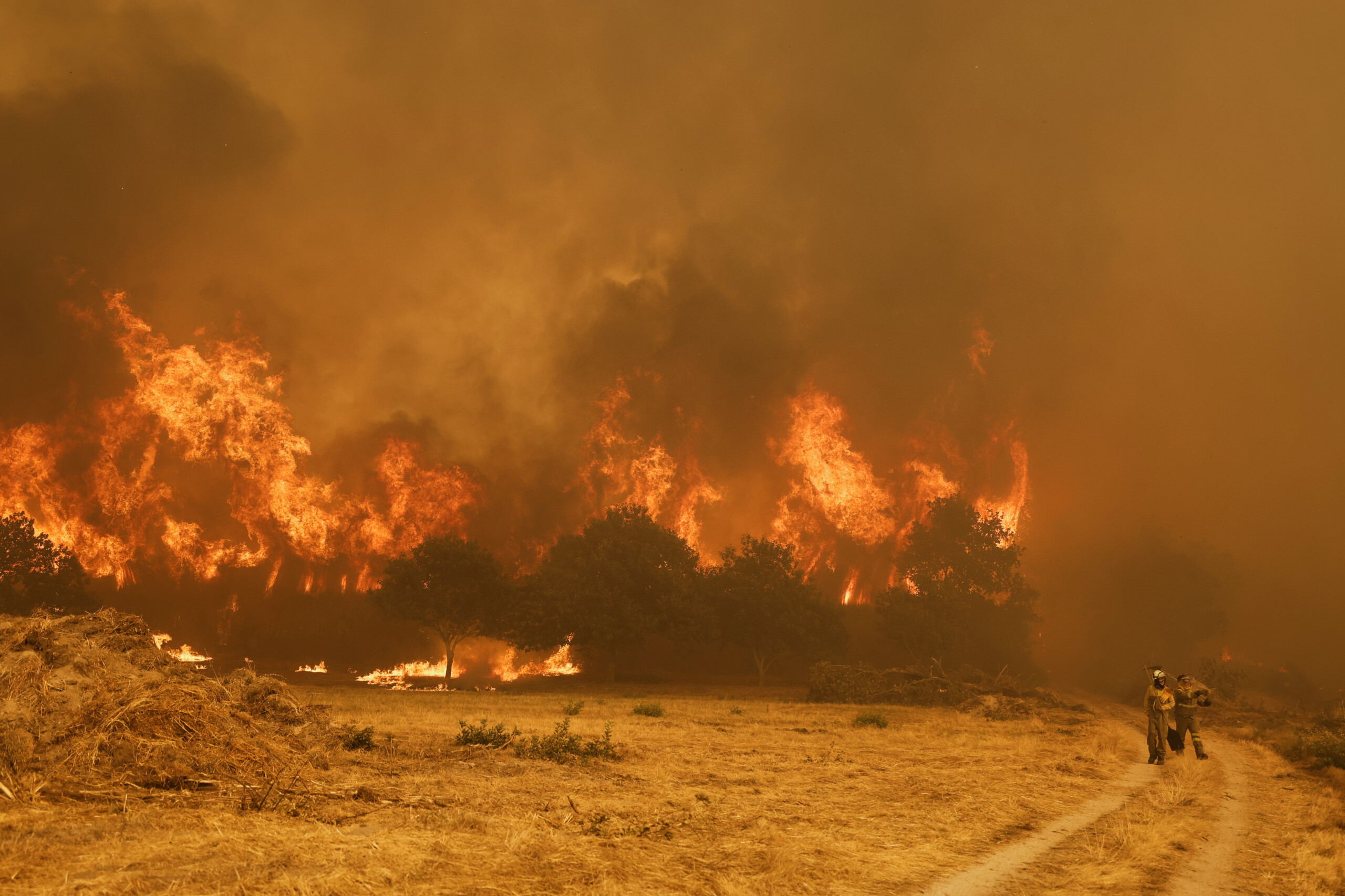 fires portugal requests assistance from the eu civil protection mechanism scaled