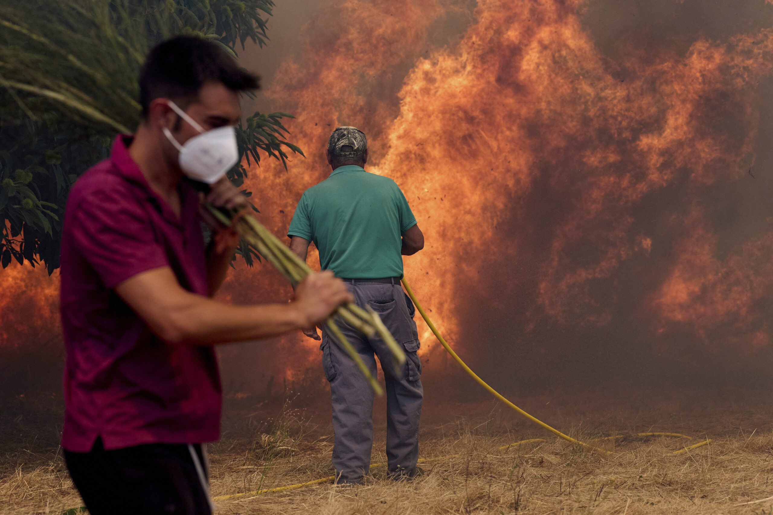 spain 7 fires still burning in ourense over 67500 hectares burned scaled