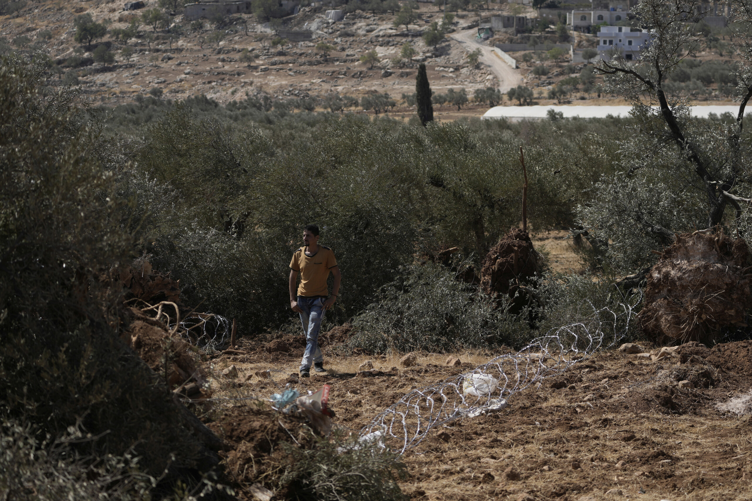 middle east jordan partially reopens allenby crossing no thanks scaled