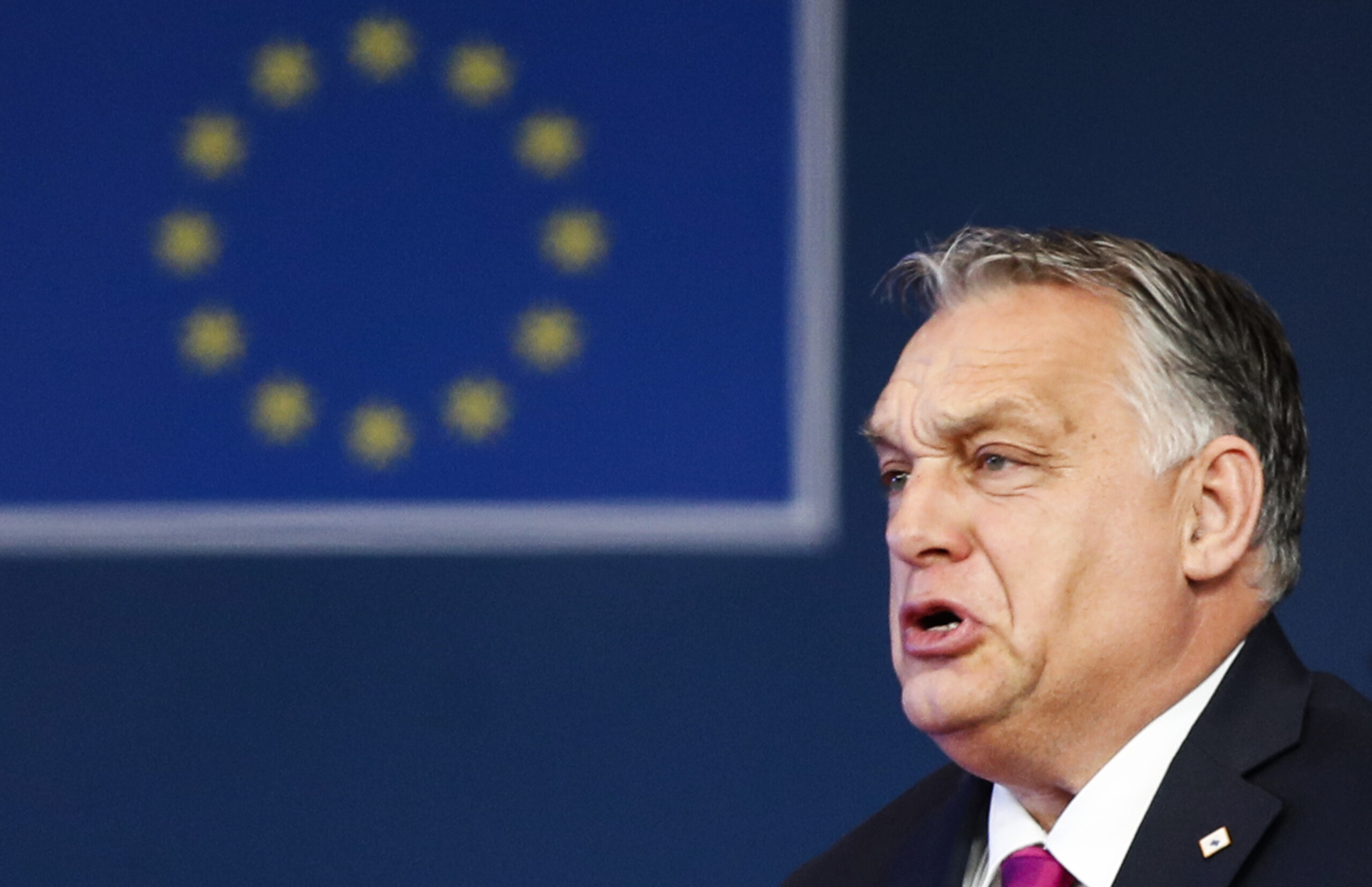 salis case budapest european parliament legitimizes left wing terrorism scaled