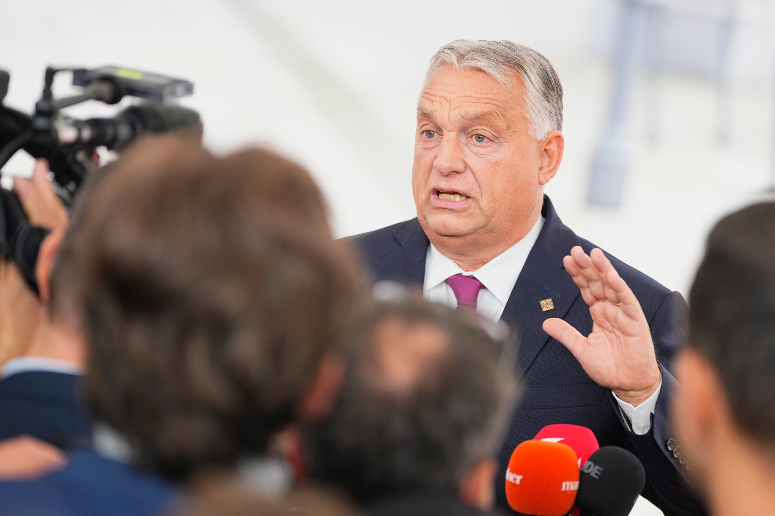 salis case orban eu protects its own against the rule of law scaled