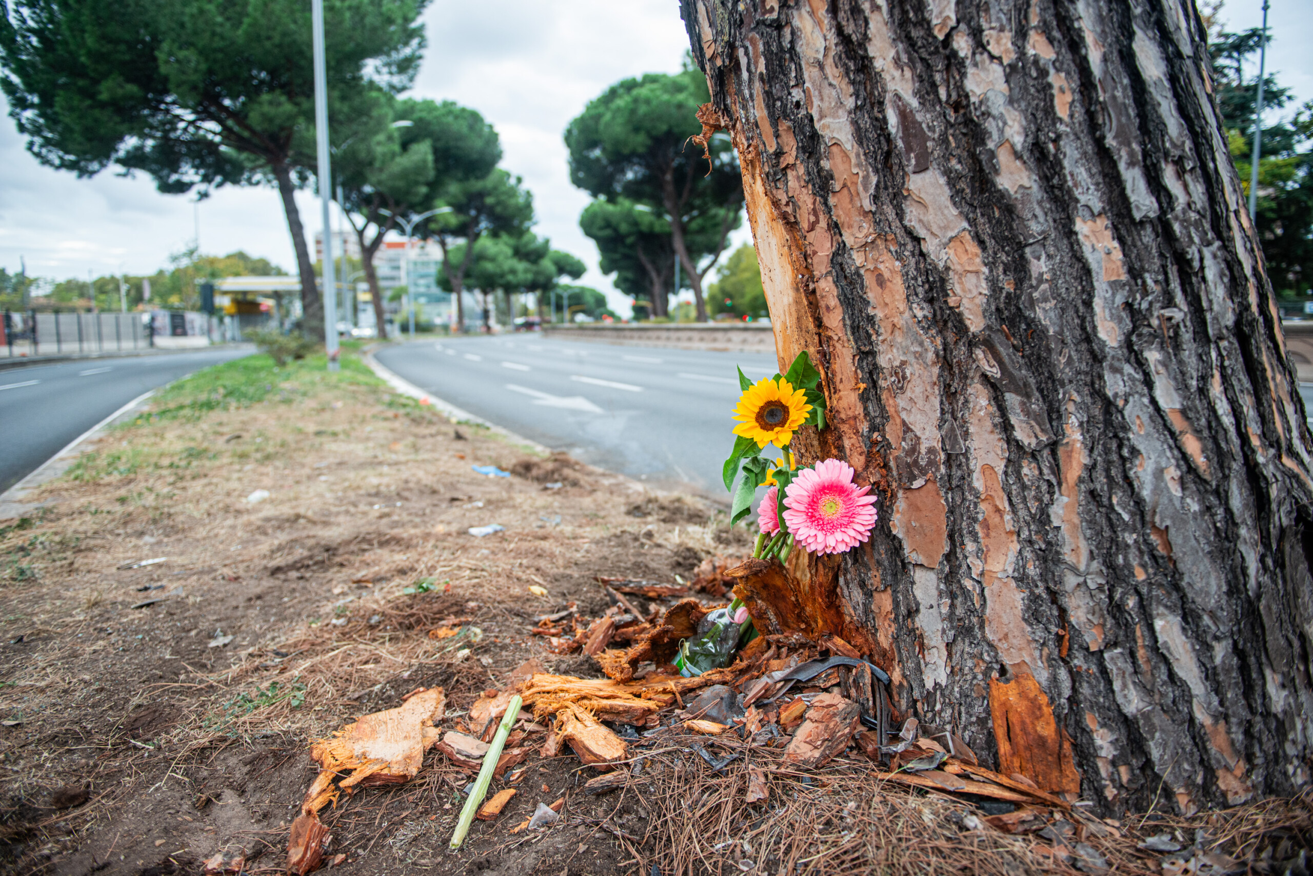 rome accident autopsy on 20 year old woman who died from chest injuries scaled