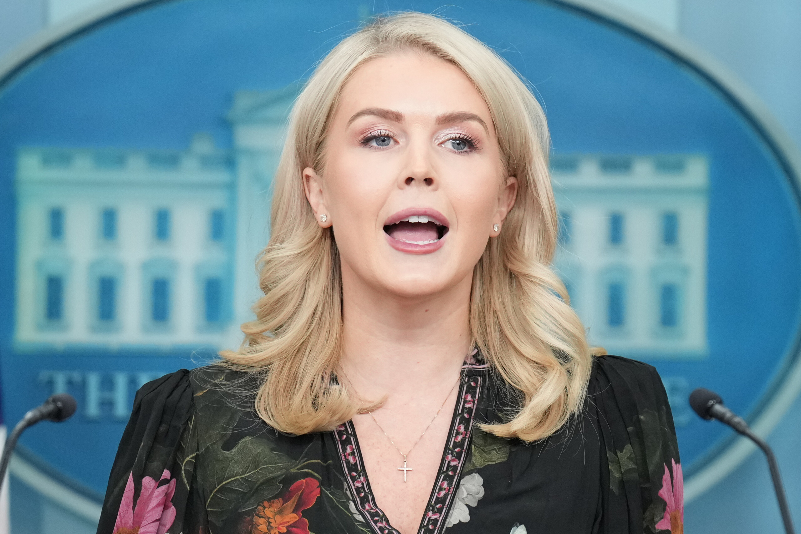 usa white house on the epstein case democrats want to smear trump scaled