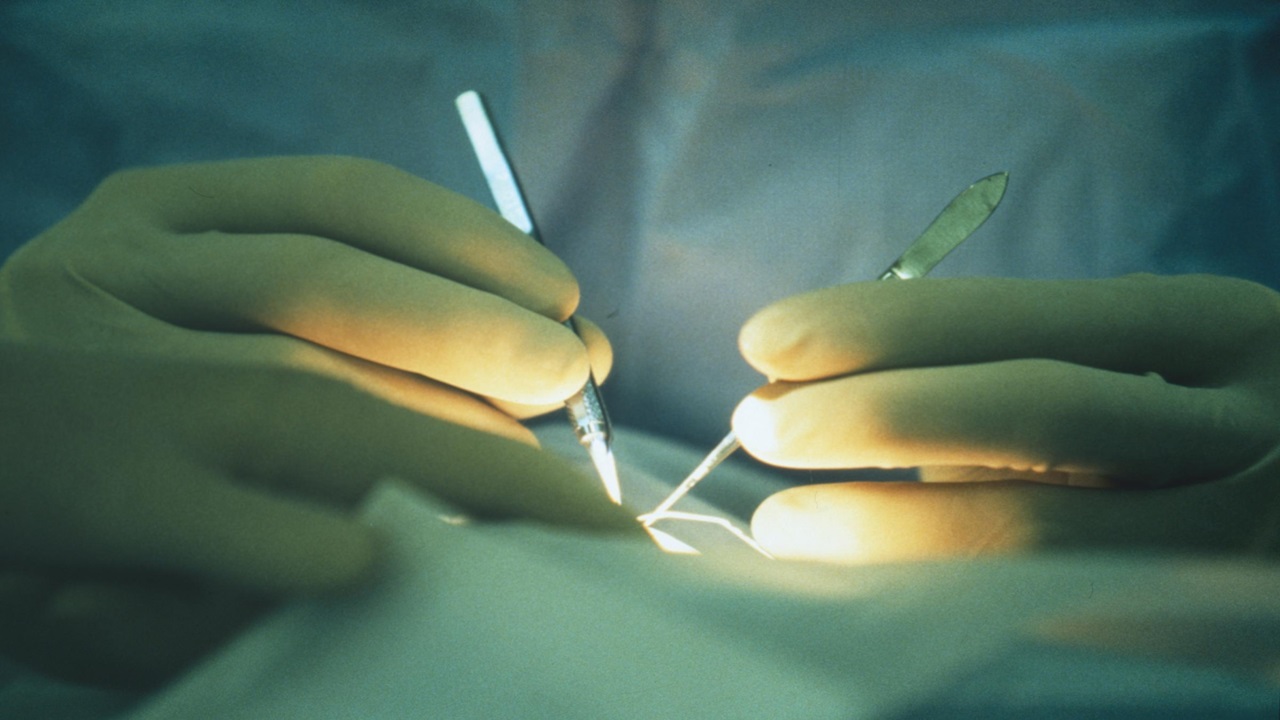 health heart from athens to turin for transplant without ever stopping beating