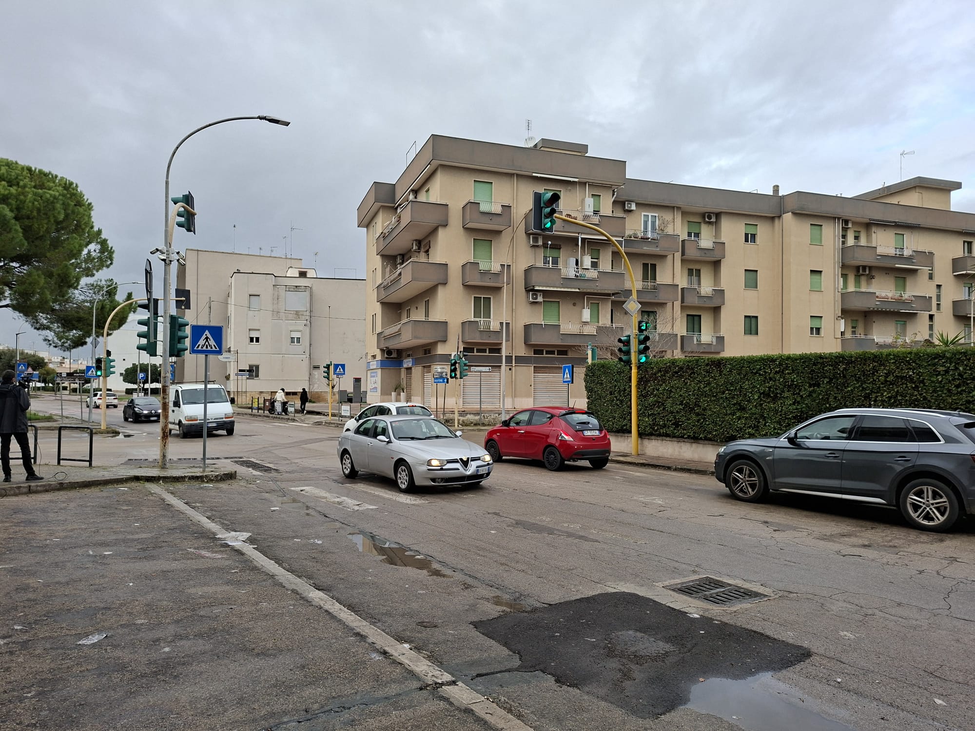 nardo tatianas brother now she needs peace and quiet