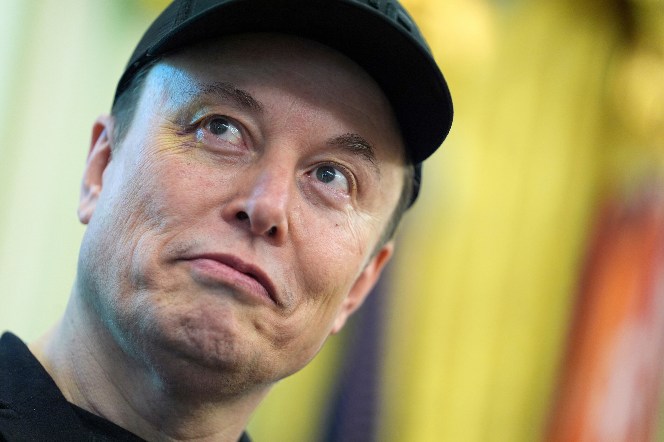 stroppa musk loves europe but it has become a bureaucratic monster scaled
