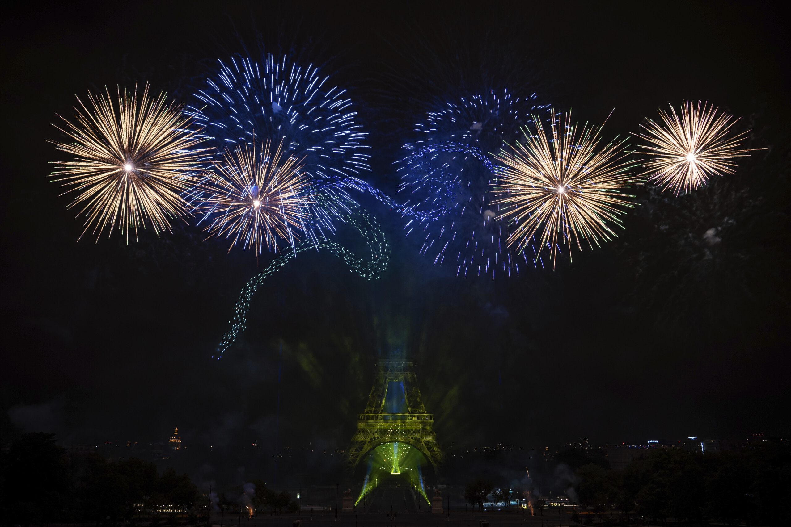 new years eve wwf appeal to local councils to stop fireworks and firecrackers scaled