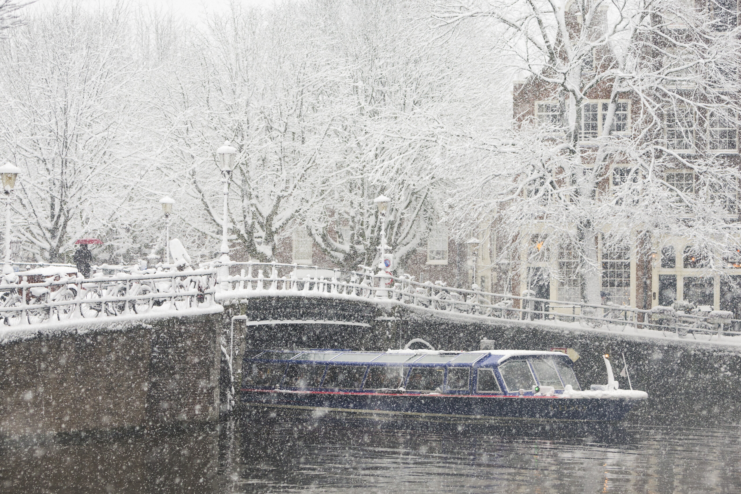 Netherlands: over 700 flights canceled at Amsterdam airport due to snow 1 netherlands over 700 flights canceled at amsterdam airport due to snow scaled