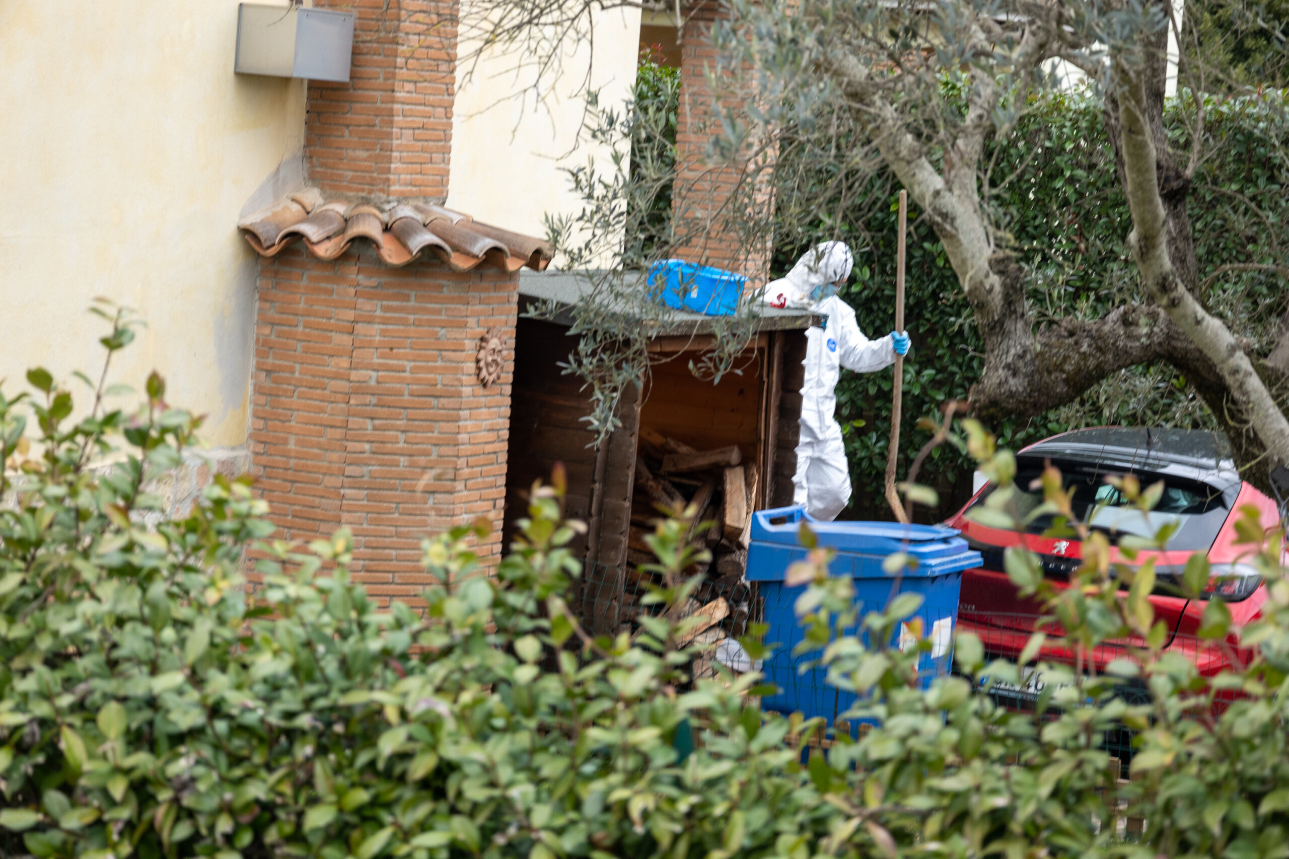 anguillara family lawyer federica would never have left her son scaled