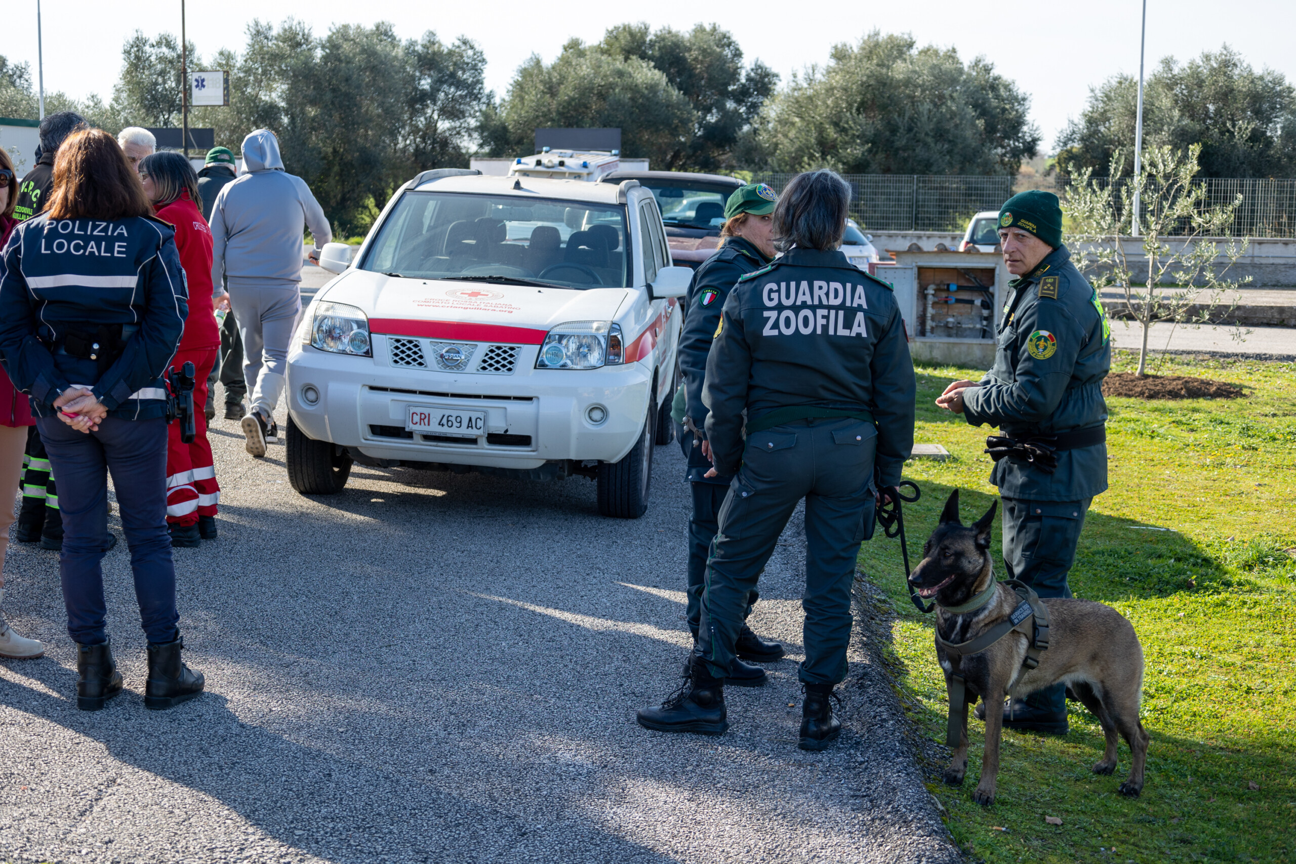 anguillara civitavecchia prosecutors office blood traces everywhere husbands account contradictory scaled