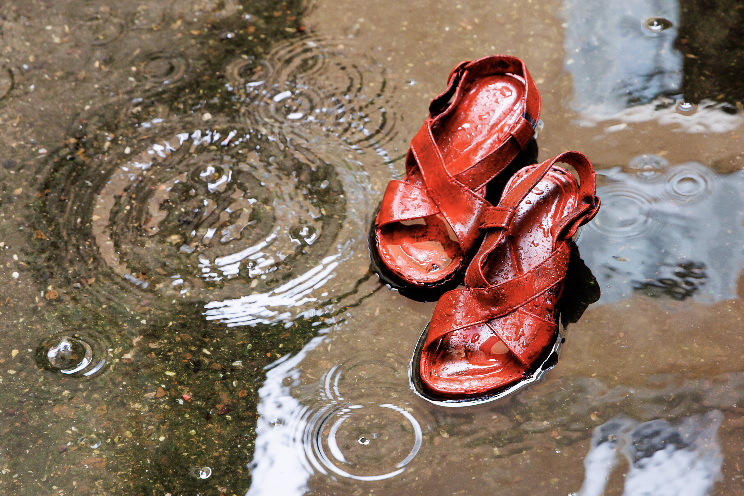 femicide rights report in italy systemic violence against women scaled