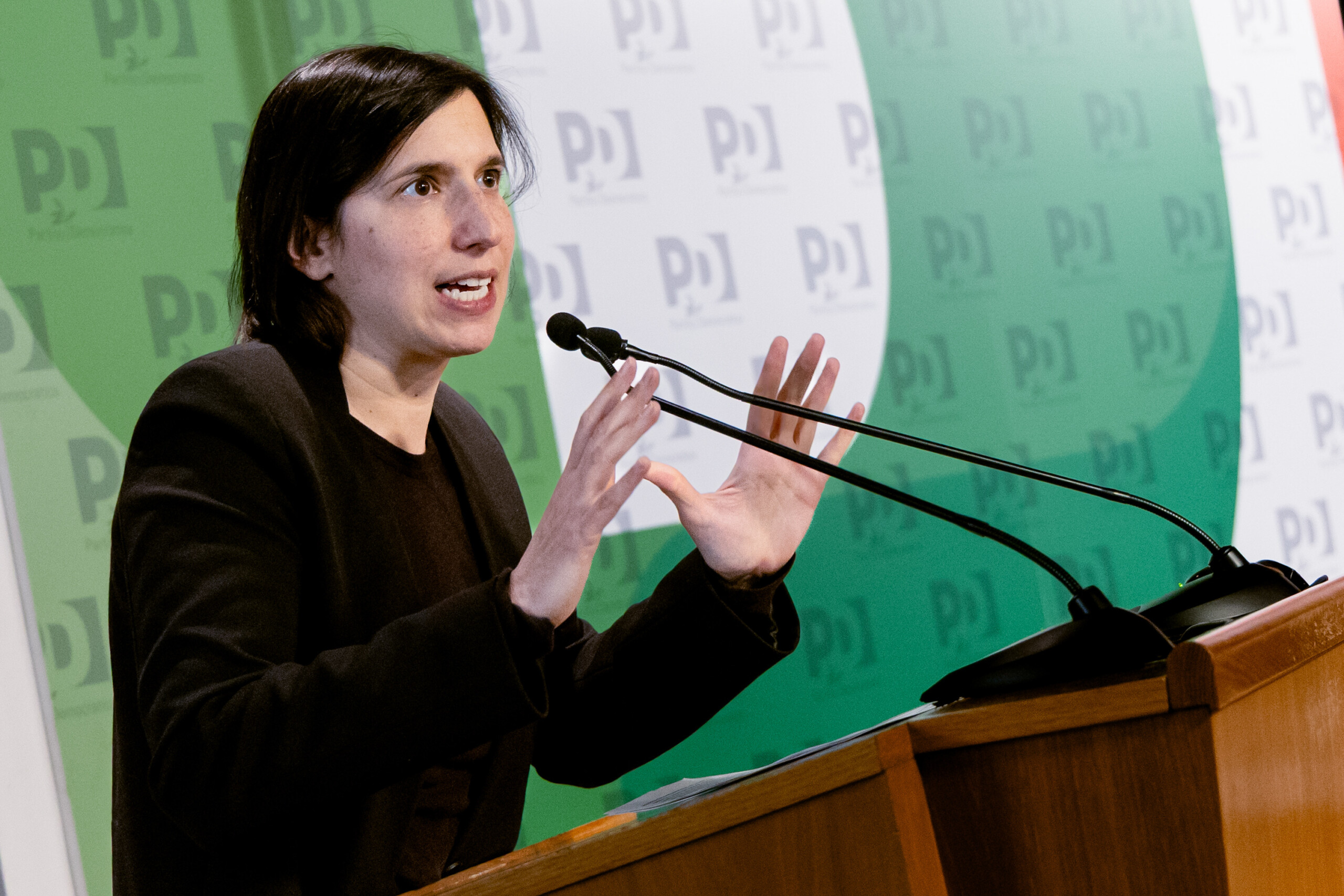 security schlein no to further restrictions on democratic freedoms scaled