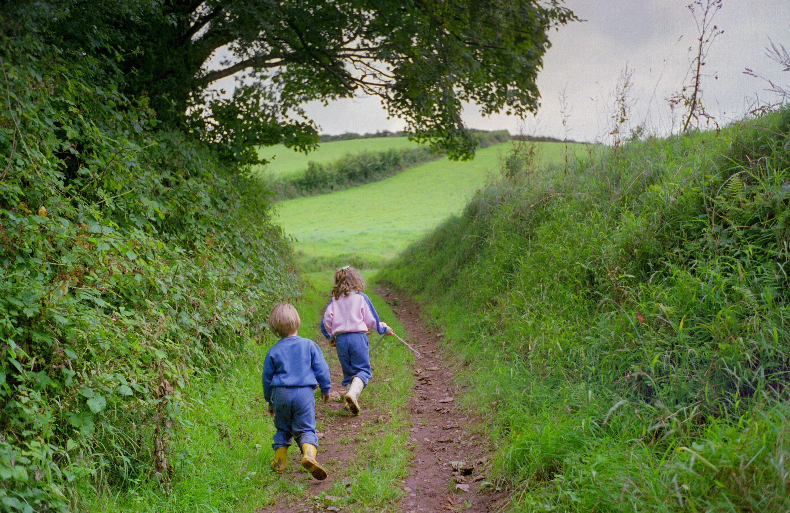 united kingdom children will be able to choose their gender as early as primary school scaled