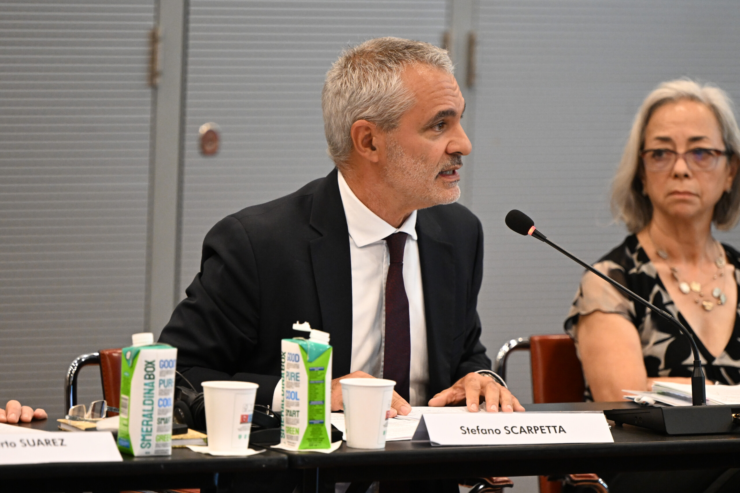 OECD: Stefano Scarpetta appointed new Chief Economist 1 oecd stefano scarpetta appointed new chief economist scaled