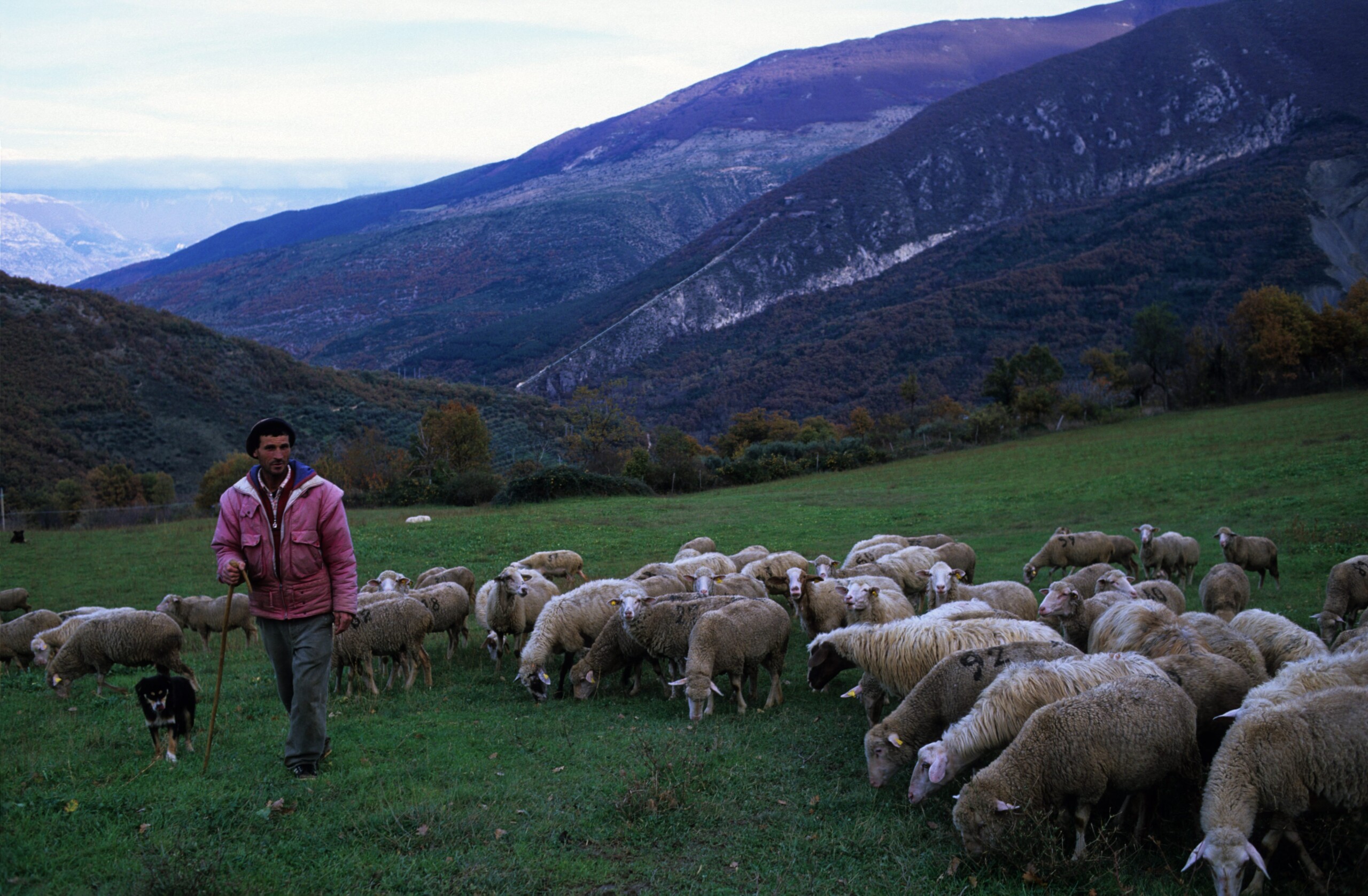 Mountains, complex rescue on the Maiella: four hikers saved 1 mountains complex rescue on the maiella four hikers saved scaled