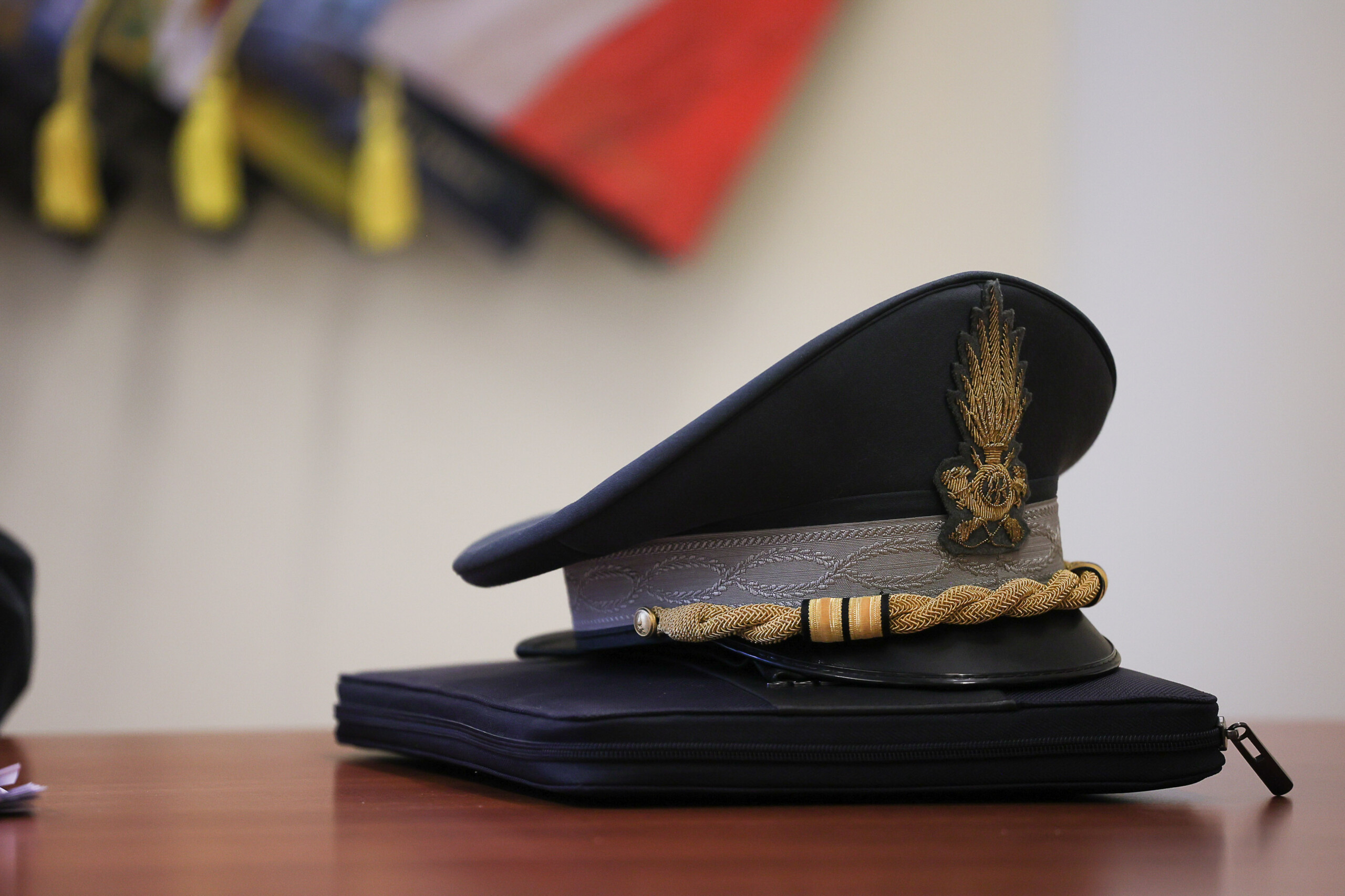 terra fuochi e205 million confiscated from the pellini brothers scaled