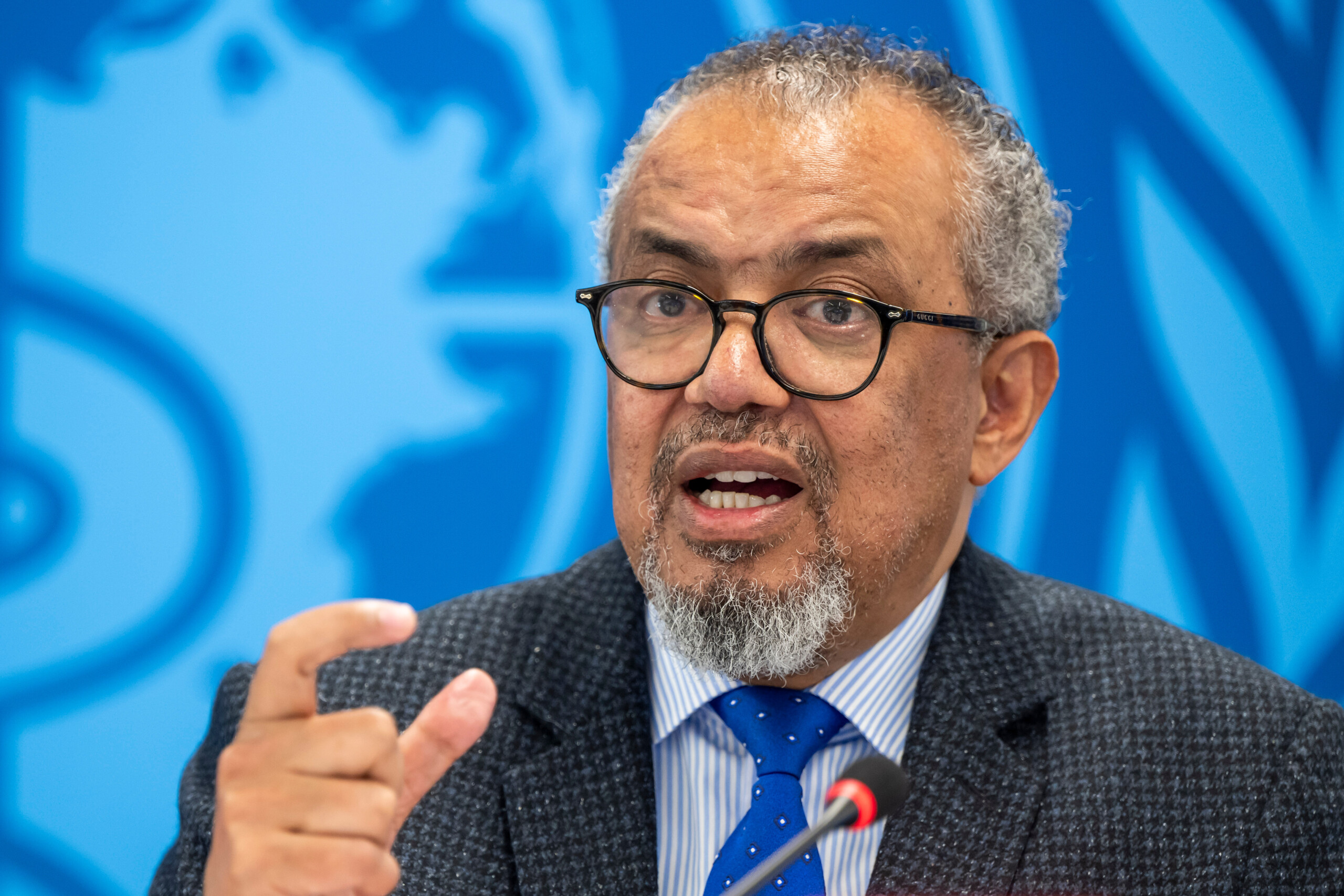 Hantavirus, WHO Director-General: ‘Global health risk remains low’ 1 hantavirus who director general global health risk remains low scaled