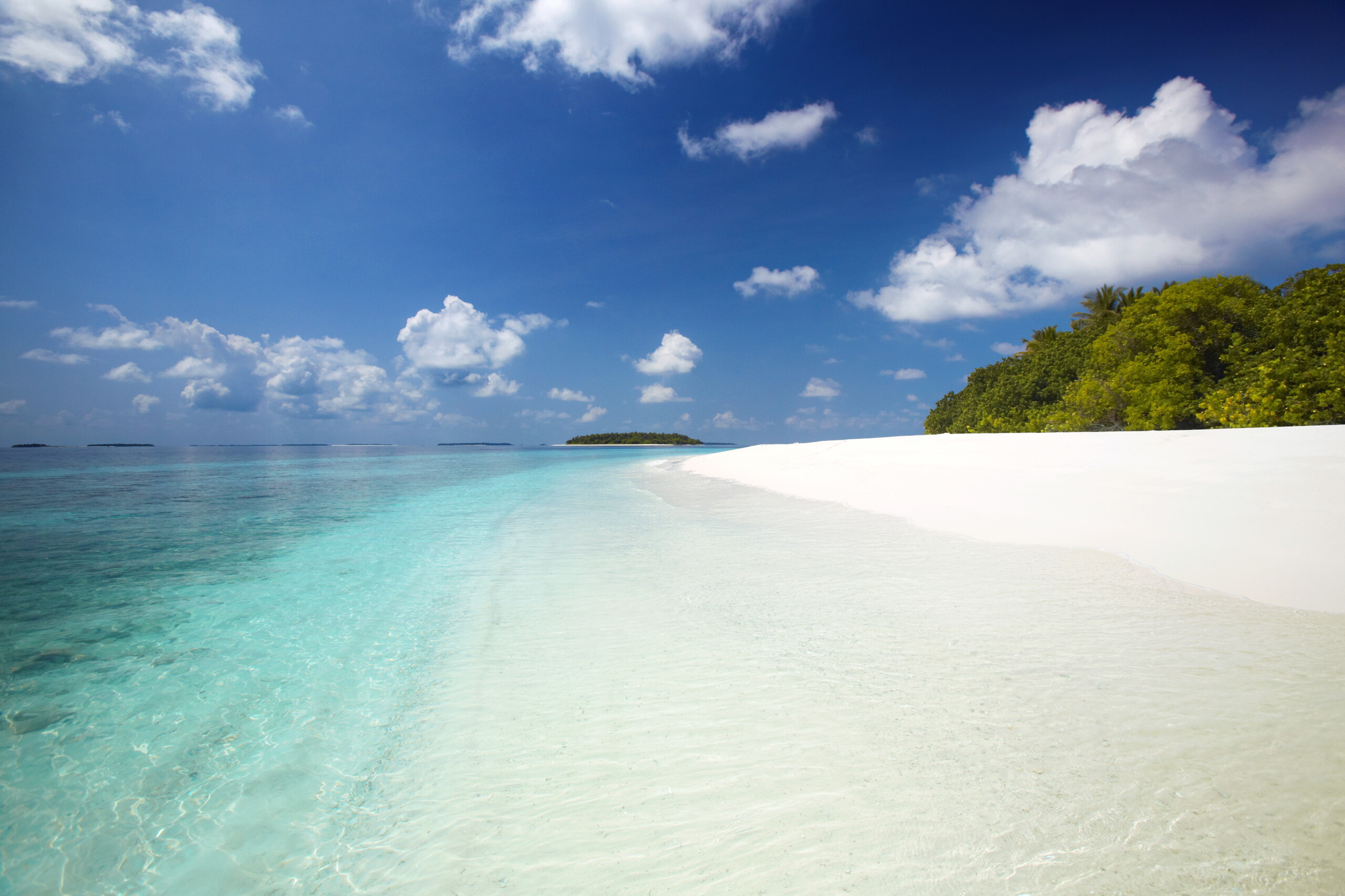 Maldives: Five Italians die whilst scuba diving 1 maldives five italians die whilst scuba diving scaled